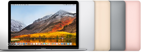 Apple MacBook (Retina, 12-inch, 2017) (foto #1)