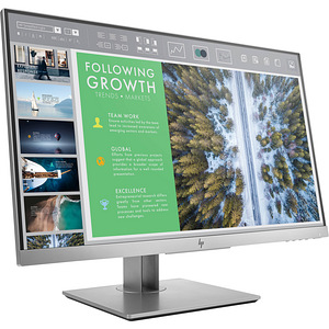 HP EliteDisplay E243i (1 фото из 1)