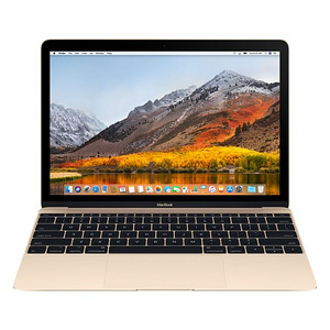 Apple MacBook 12 2017 Golden (1 foto / 1)