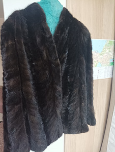 Lühike naaritsakasukas autolady jaoks (3 foto / 3)