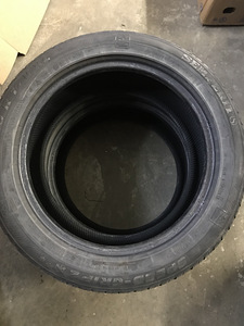 225/50R17 (1 фото из 3)