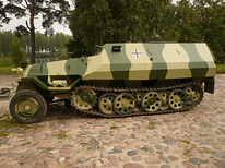 Bronevik OT-810