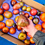 Семена сортовых томатов. Более 100 сортов на выбор (фото #1)