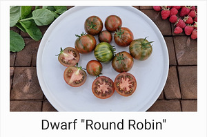10 sordi maitsev ja eksootiline DWARF tomatit (seemned) (9 foto / 10)
