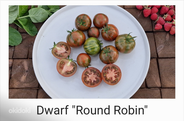 10 сортов вкусных и экзотических томатов DWARF (семена) (фото #9)