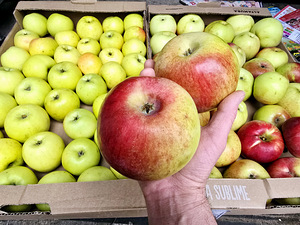 Sügis õunad mahlane maitsev aromaatne Kast 7kg +++. Kojuvedu (2 foto / 4)
