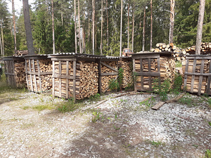 Сухие дрова с быстрой доставкой (2 фото из 3)