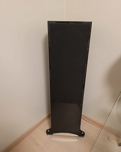 Tannoy Definition DC10 Ti kõlarid (2 foto / 5)