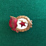 Знак Гвардия СССР (фото #3)