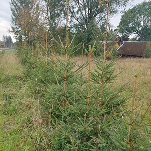 Adraku, Mustvee vald, Jõgevamaa (2 foto / 9)