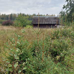Adraku, Mustvee vald, Jõgevamaa (9 foto / 9)