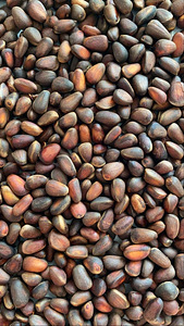 Kooritud piiniaseemned, metsavaik, 500 g. (4 foto / 4)