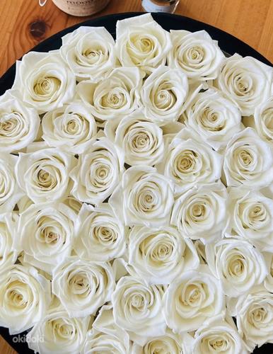 Розы в коробке | Букет цветов (фото #1)