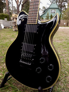Washburn Idol WI50V-Pro 2008