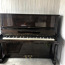 Klaver (foto #1)