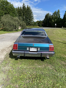 Oldsmobile Delta 88 Brougham (5 foto / 6)