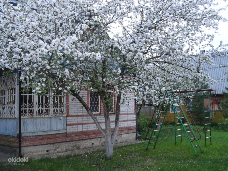 Купить Дачный Участок В Калужской Области