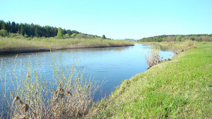 Земельный участок 22 гектара около реки Волга