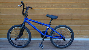 GT BMX (4 фото из 4)