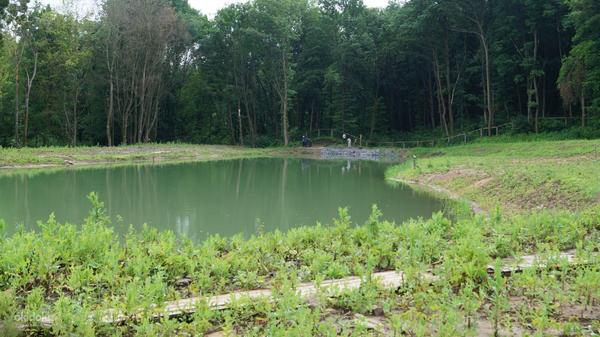 Очистка водоемов, озер от заиления (фото #1)