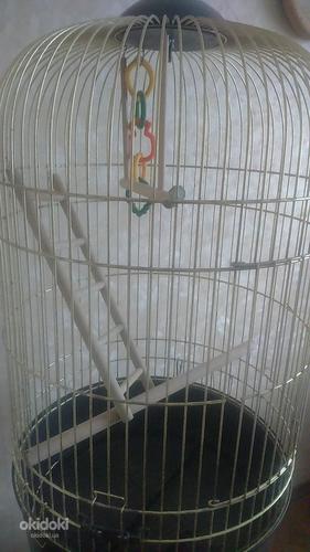 Итальянская клетка для попугаев (фото #3)