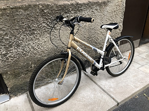Bicycle Lady Sport (2 foto / 5)
