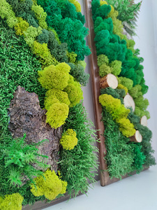 Stabiliseeritud sammal, samblapilt, ECO dekoor. (7 foto / 10)