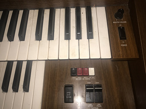 YAMAHA elektriline orel (5 foto / 6)