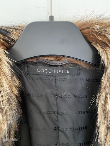 Coccinelle naturaalsest nahast kerge jakk (foto #4)
