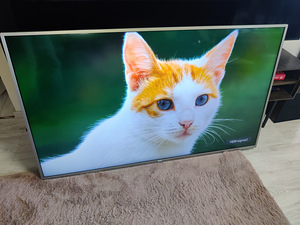 58" Philips 4K UHD teler SmartTV Dolby (2 foto / 6)