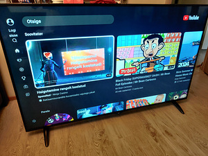 65" 4K UHD teler SmartTV (4 foto / 6)
