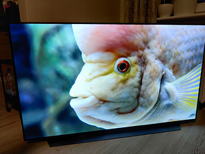 55" LG OLED telekas 4K UHD SmartTV (4 foto / 7)