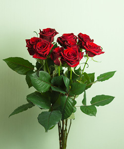 Цветы розы - опт и розница