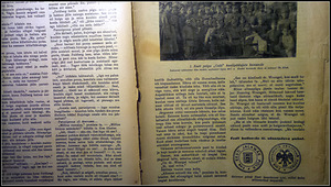 ДОМА. Семейный журнал 1927а. (4 фото из 4)