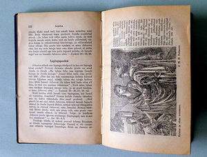 "МИРЕНИЕ" 1928 г. (3 фото из 3)
