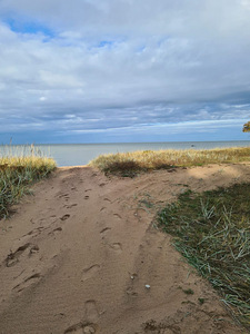 Pihlaõie, Jabara, Lüganuse vald, Ida-Virumaa (4 foto / 4)