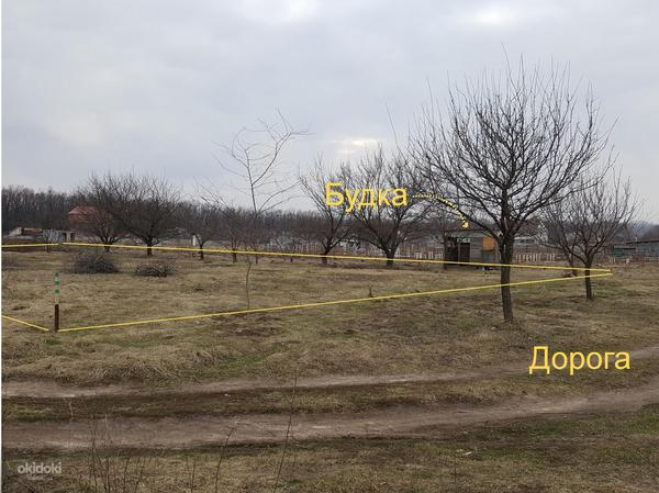 Класна ділянка для будівництва у Сіряках - 1 км від Харкова (фото #4)