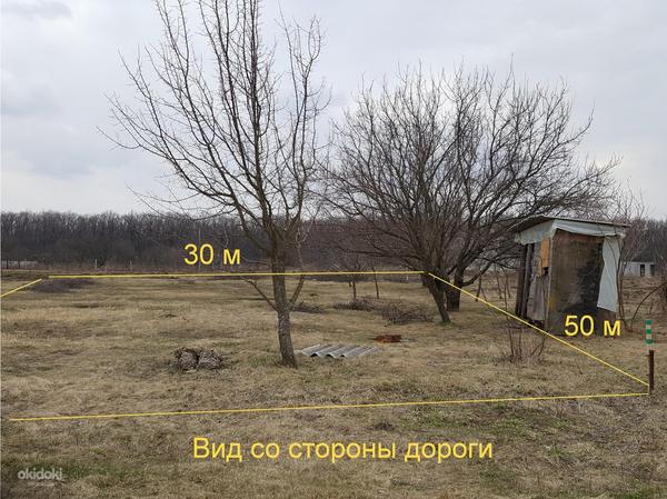 Класна ділянка для будівництва у Сіряках - 1 км від Харкова (фото #9)