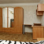 1-комнатная квартира Пушкина (фото #2)