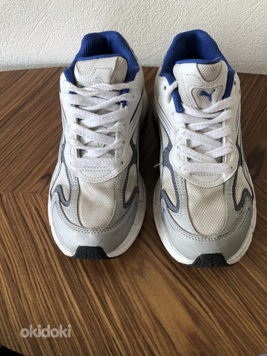 Puma tossud nr 37