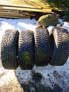 Müüa talvised naelrehvid (4 foto / 5)