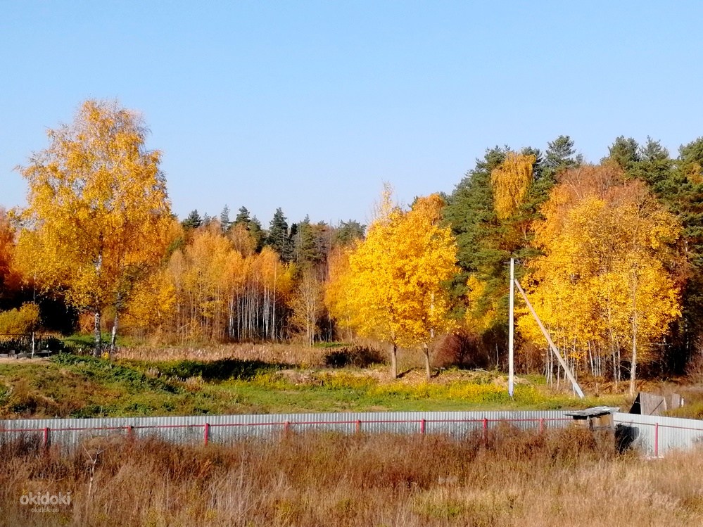 Деревня огуднево щелковский