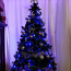 Рождественская елка (фото #3)
