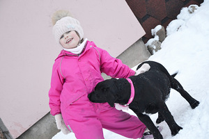 Labradori retriiver (7 foto / 9)