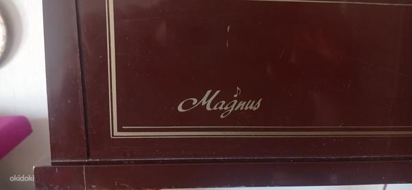 Electric chord organ "Magnus" (foto #6)