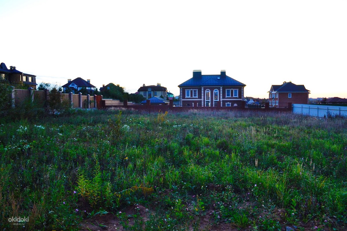 Ижс лесной. Земля в подмосковье. Лесной участок. Земельный участок с лесом. Лесной участок.