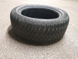 Autorehvid: Neolin Neowinter M+S, 225/50-17 (4 foto / 4)