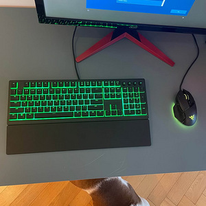 Arvuti komplekt RTX 2060 + i5-9400F + 165Hz Mon + Razer m/k (5 foto / 7)