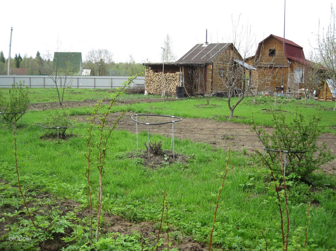 Купить Участок В Снт Меркурий Г Конаково
