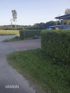 Aiatööd (3 foto / 10)